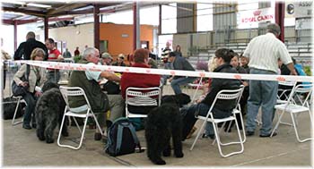 Elevage du CLOS DE LA LUETTE - COPYRIGHT DEPOSE